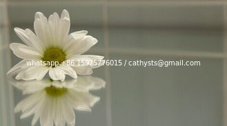 Китай Листы или плиты из нержавеющей стали 201/304 8k/зеркало поставщик